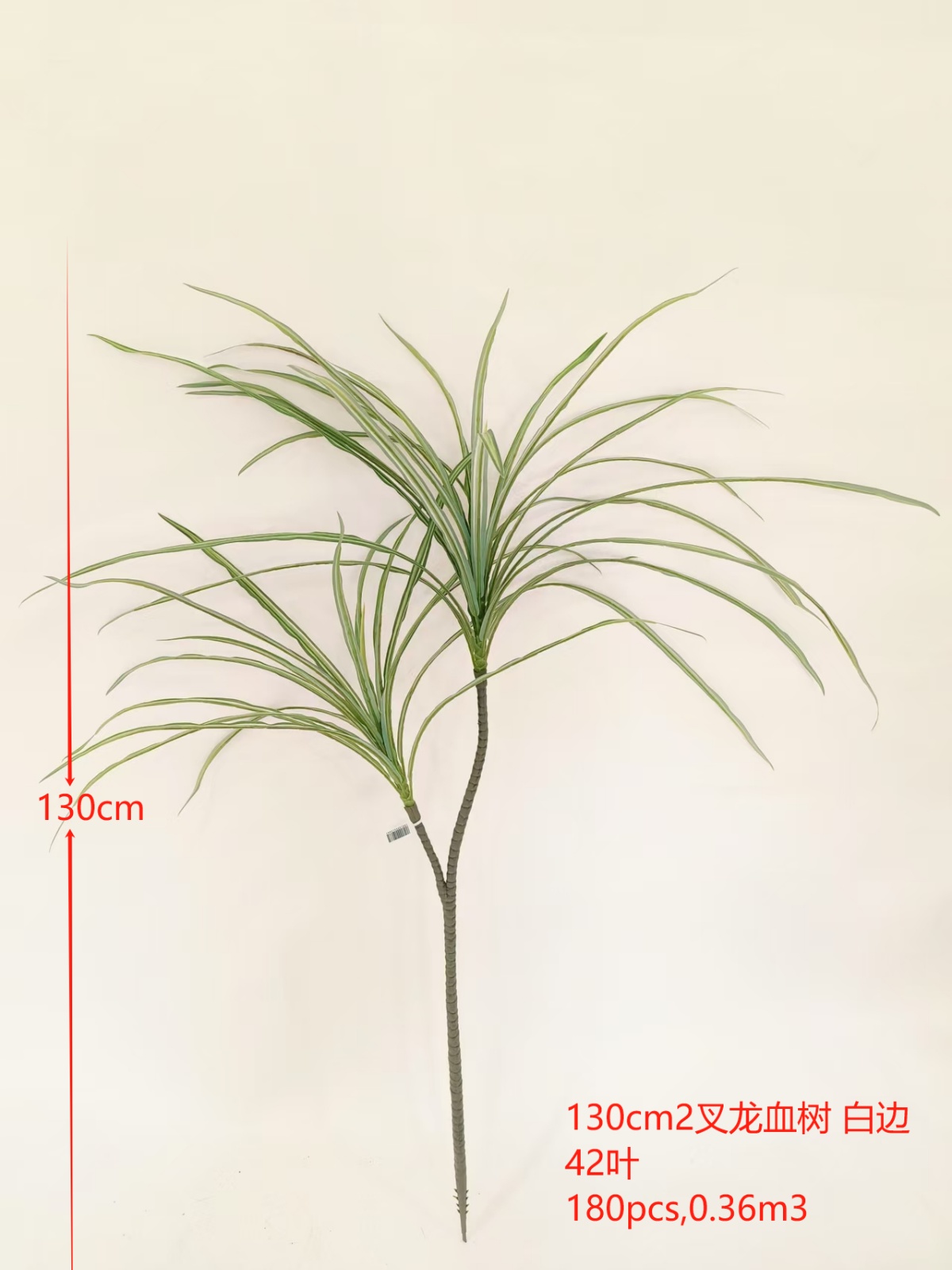 XJQH20250312-2