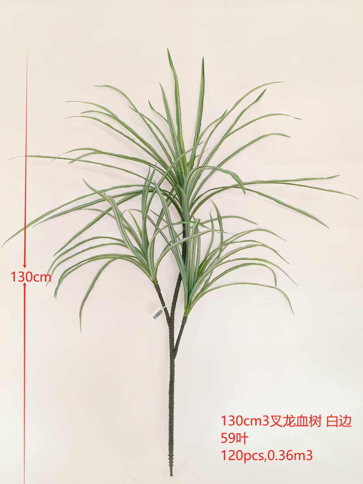 XJQH20250319-2