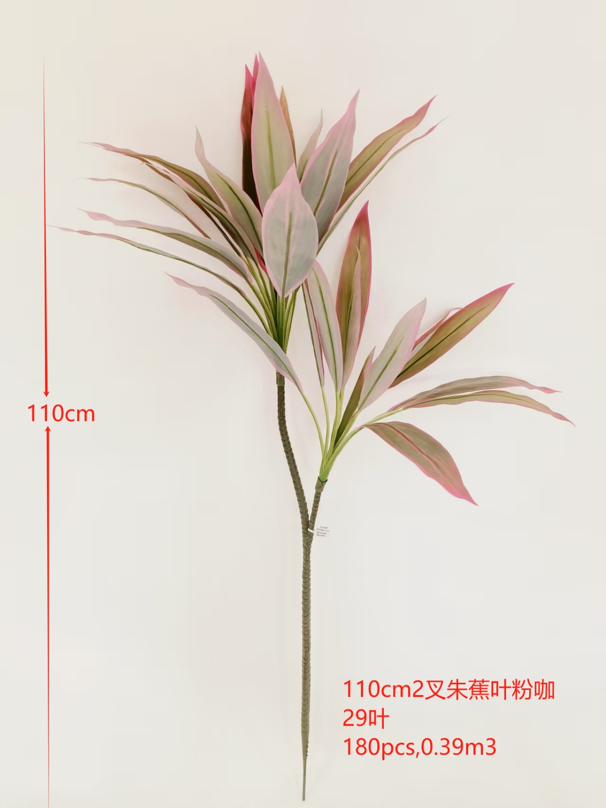 XJQH20250311-5