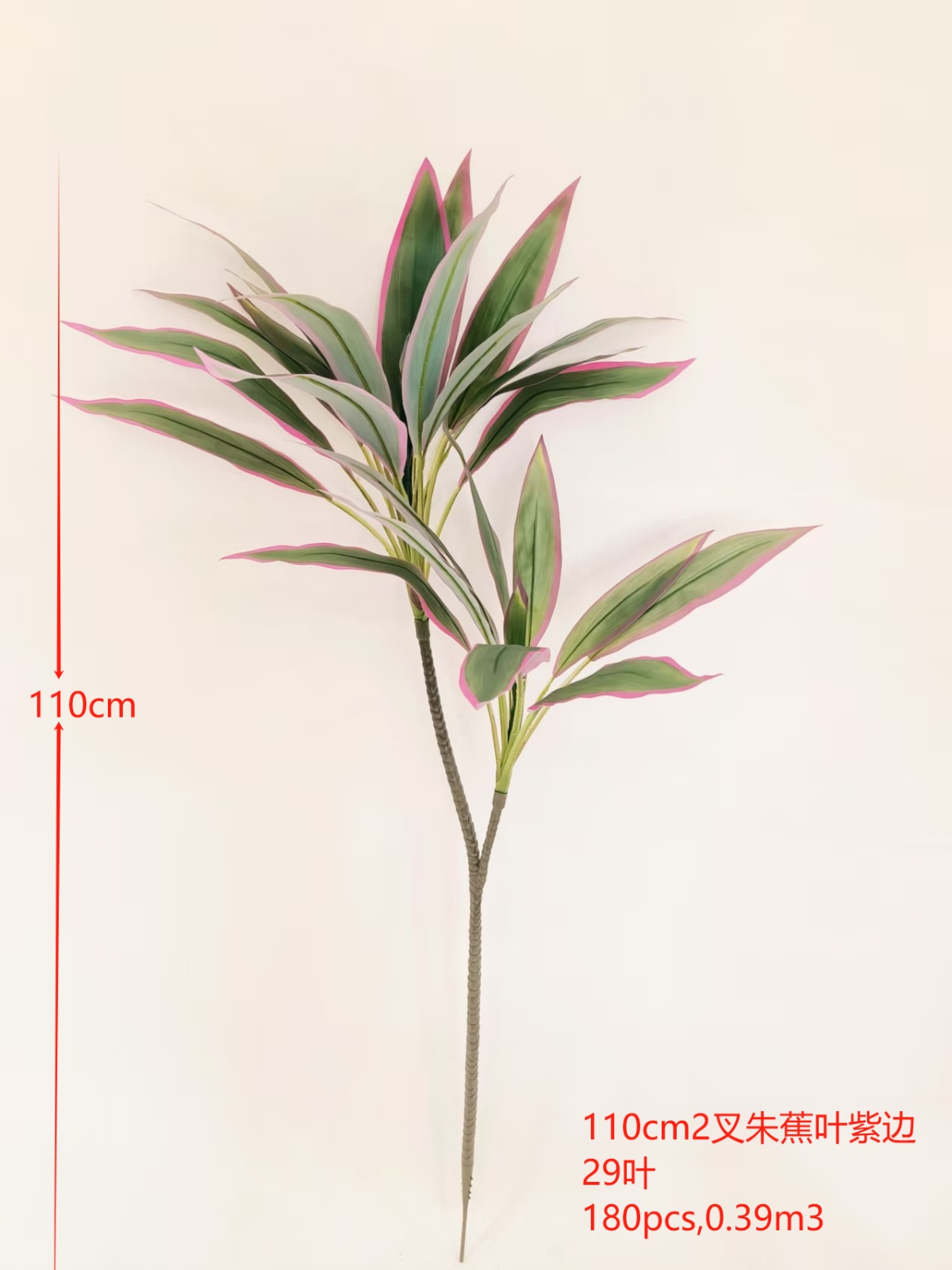 XJQH20250311-3