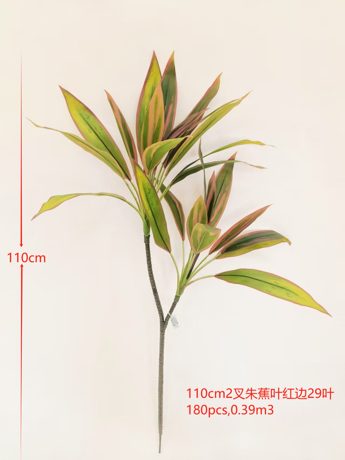 XJQH20250311-2