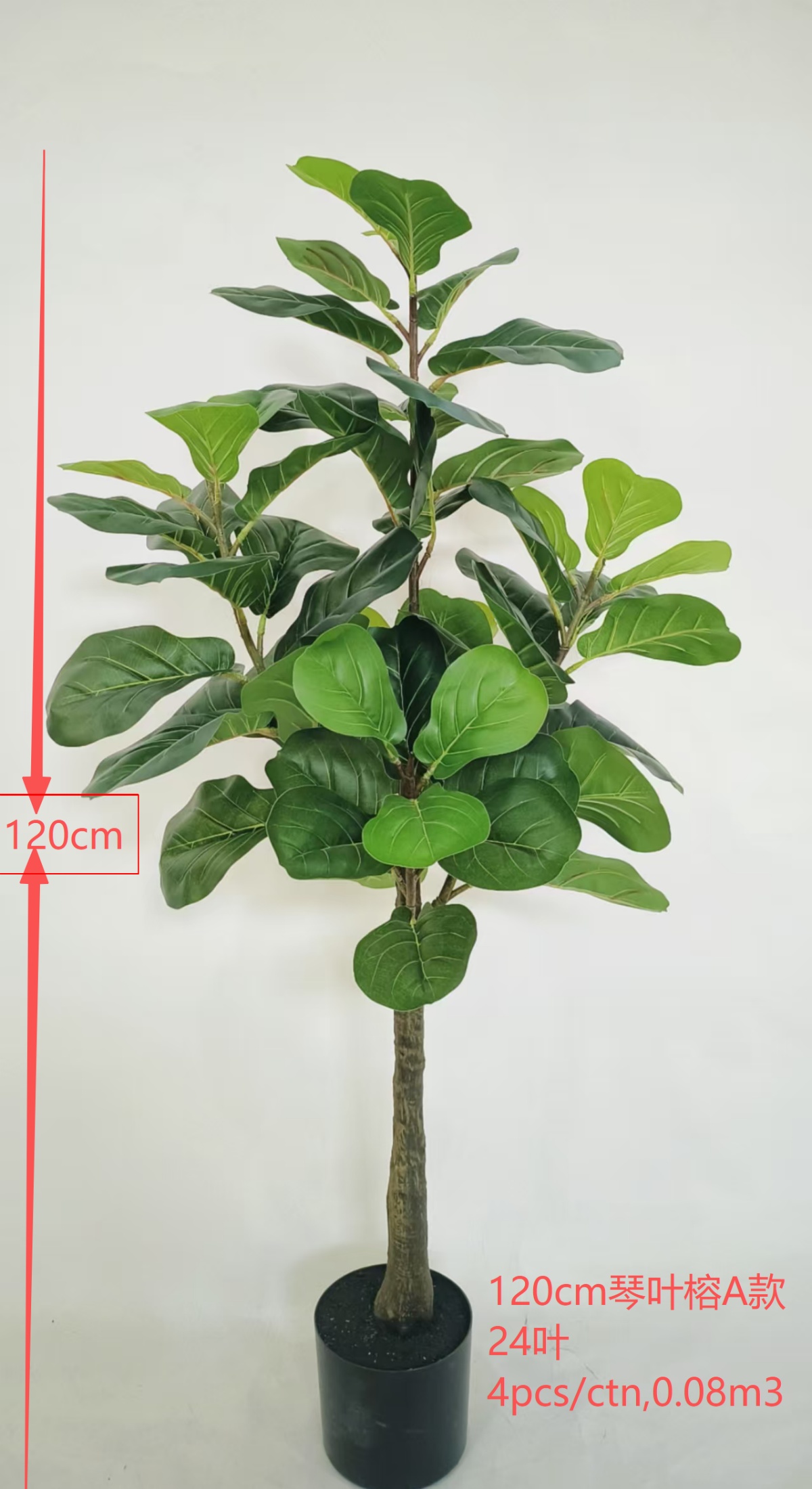 Ficus Lyrata, 47" 24-Leaf A-Style