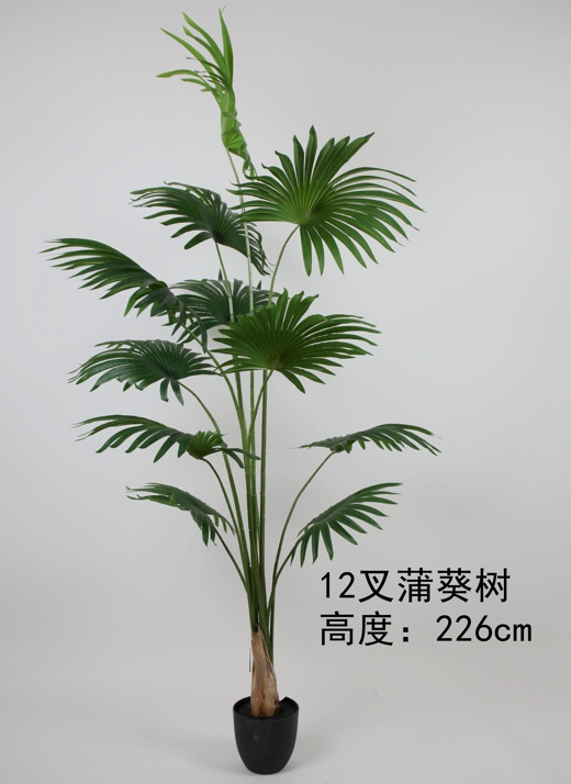 88" Areca Palm, 12 Leaves