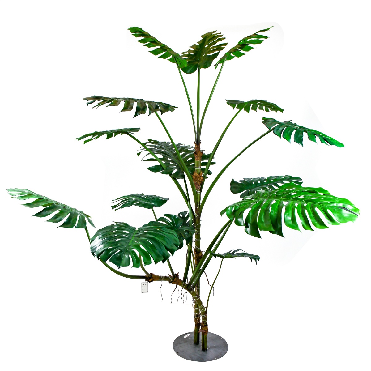 110" Monstera Large C-Style