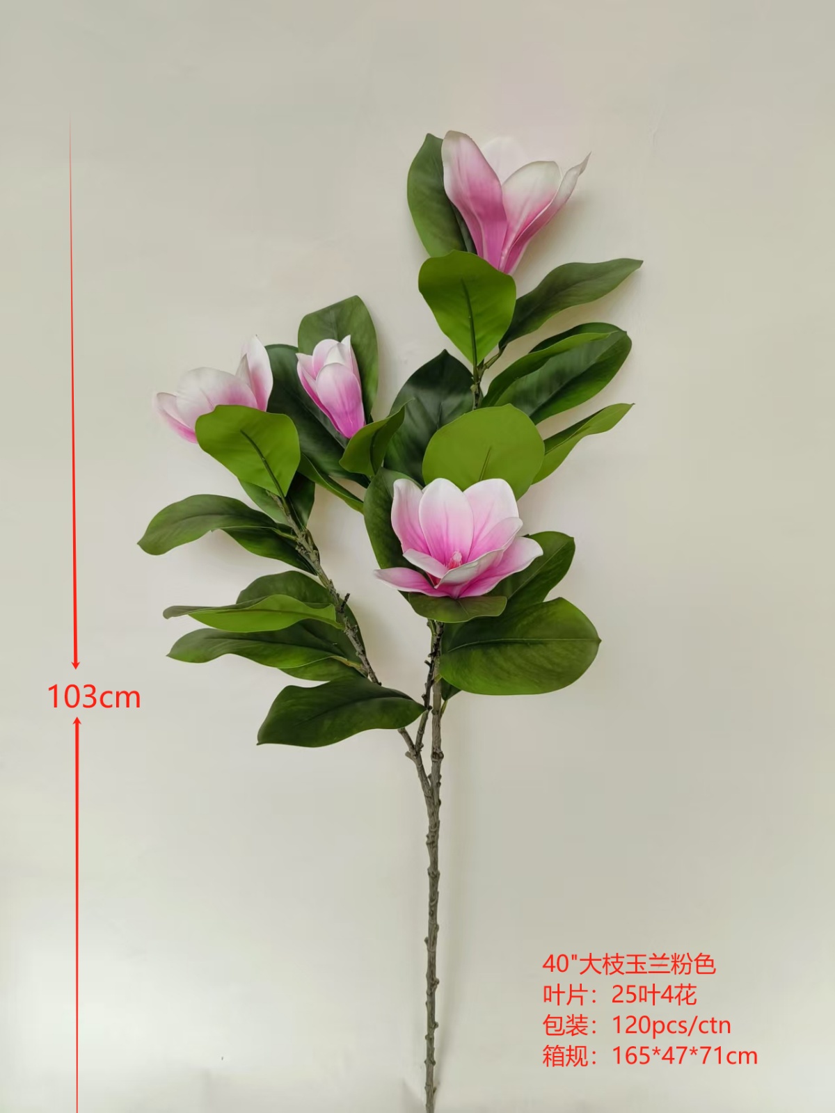 XJWDS20250419