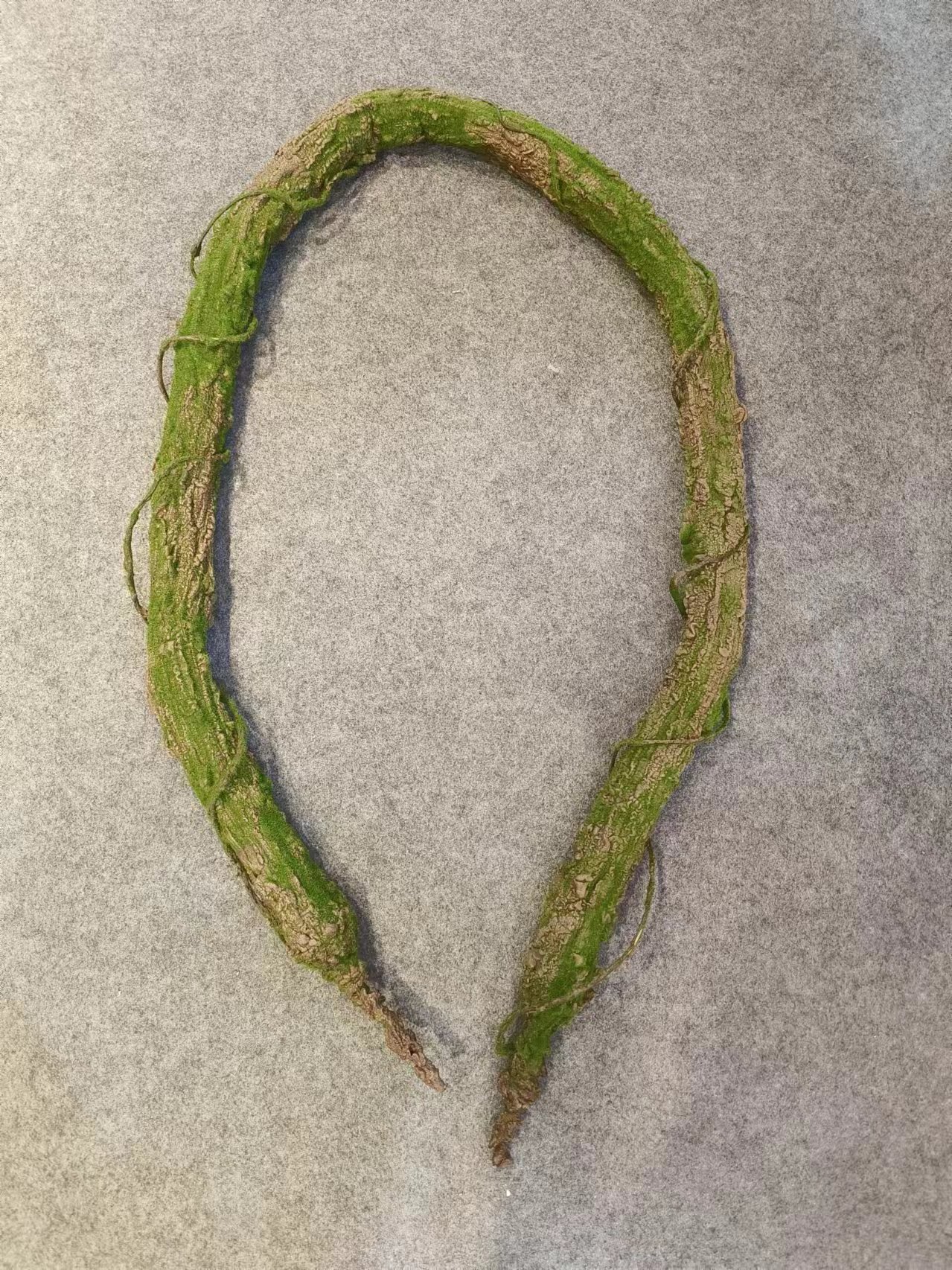 78" Spray Wild Vine