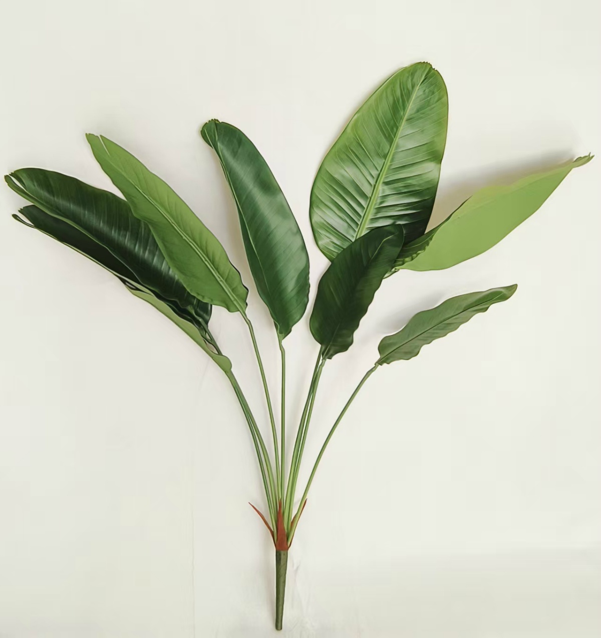 47" 9-Leaf Bird's Nest Fern Real-Touch Bundle