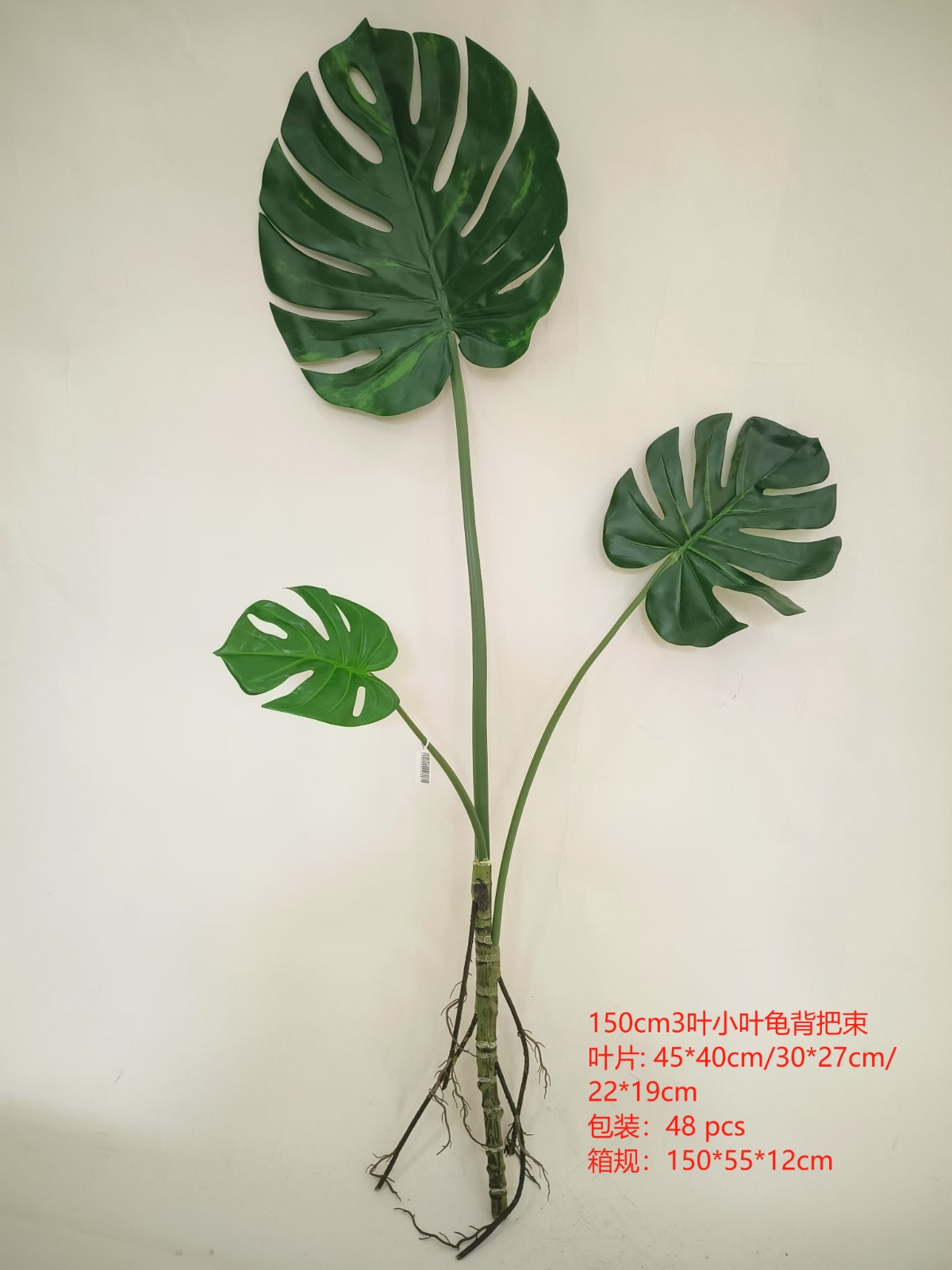 3-Leaf Monstera Bundle, 63