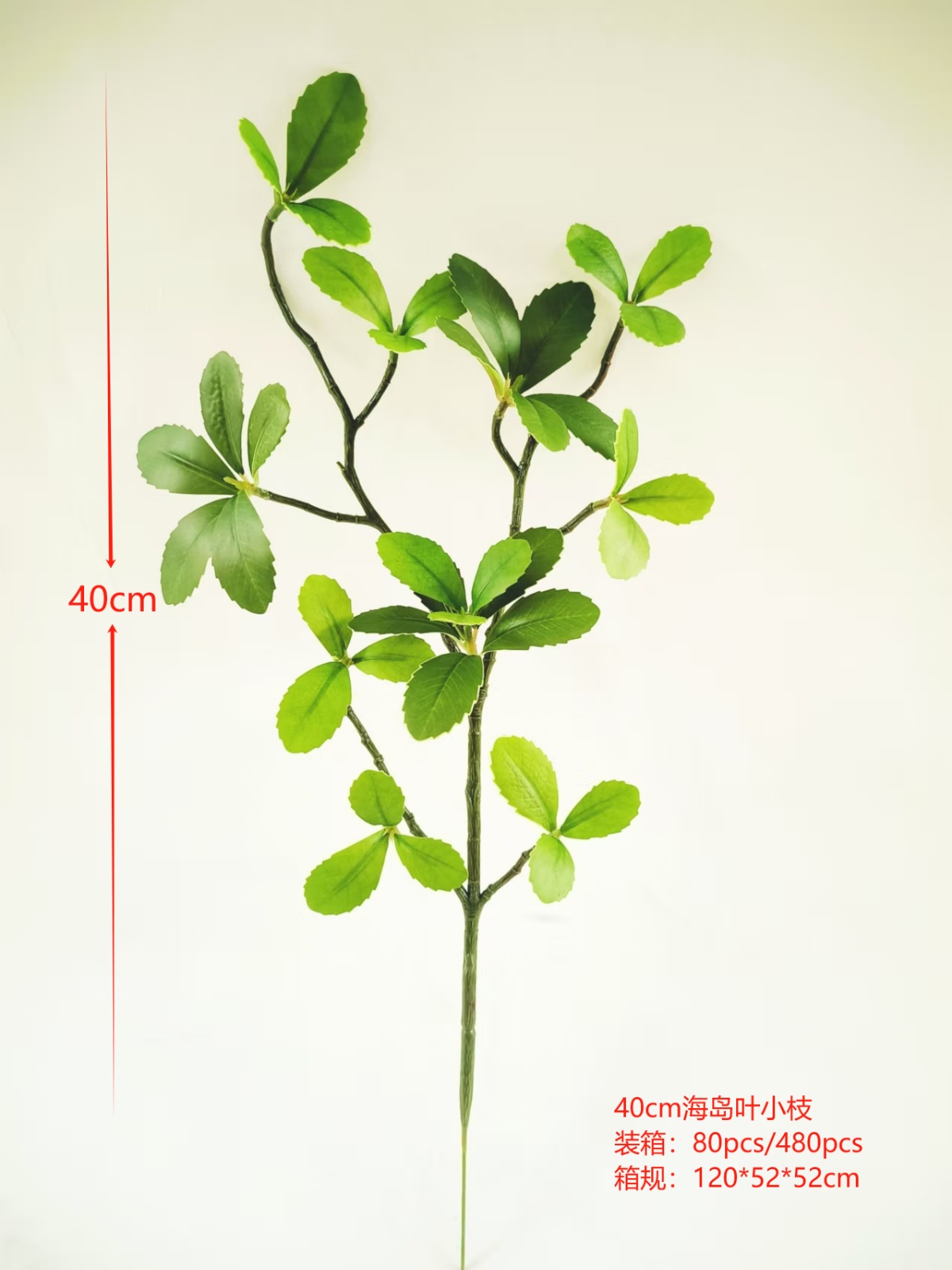 XJJHP20250108