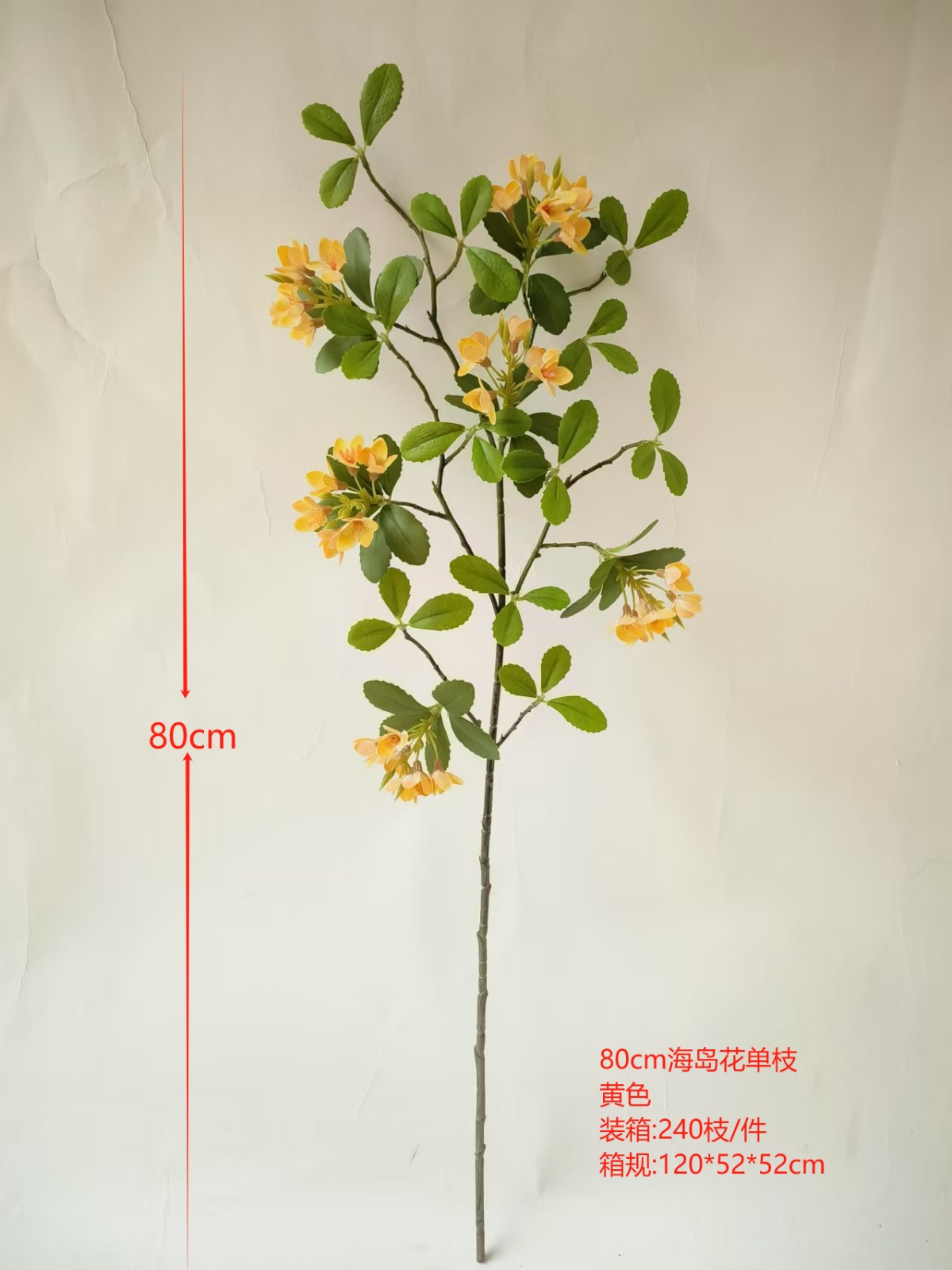 XJJHP20250105-1