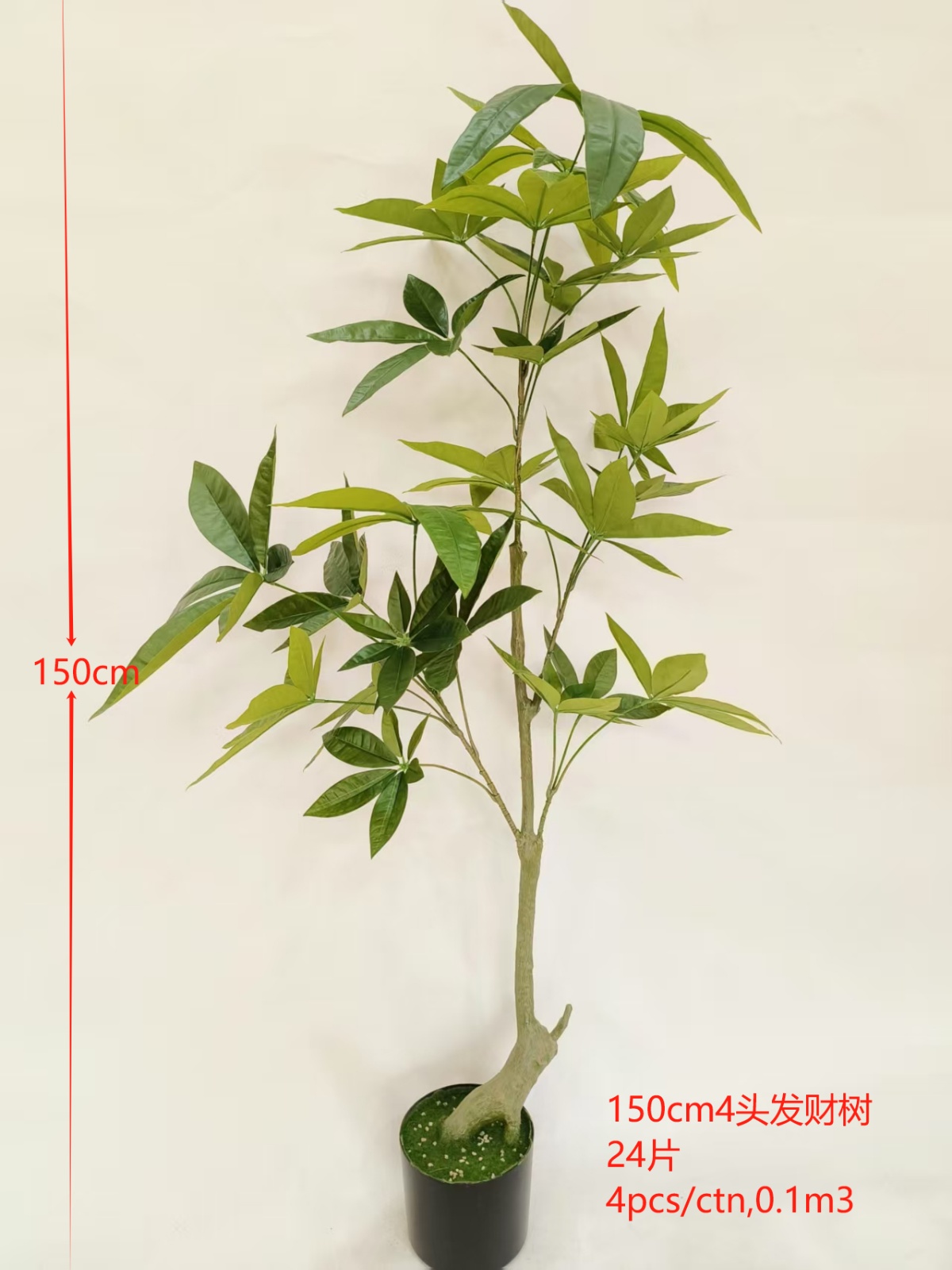 59" 4-Head Money Leaf