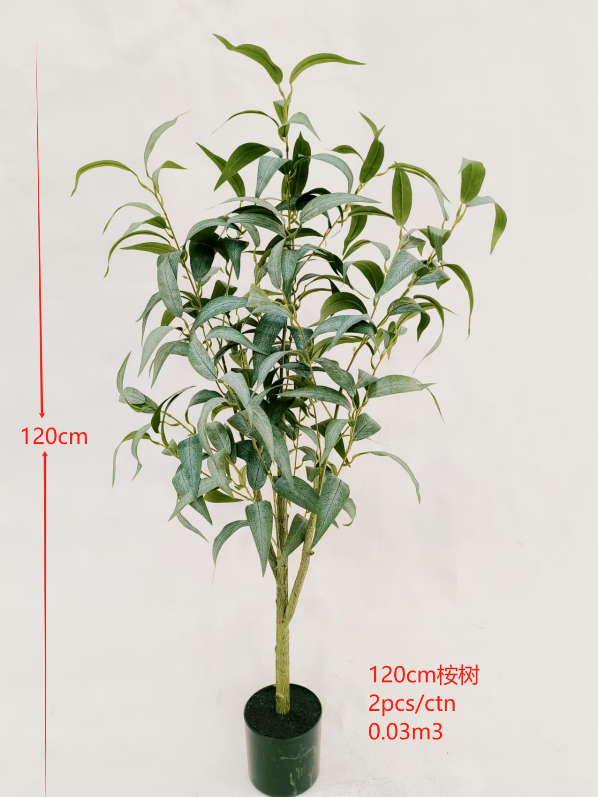 XJYF241023-120