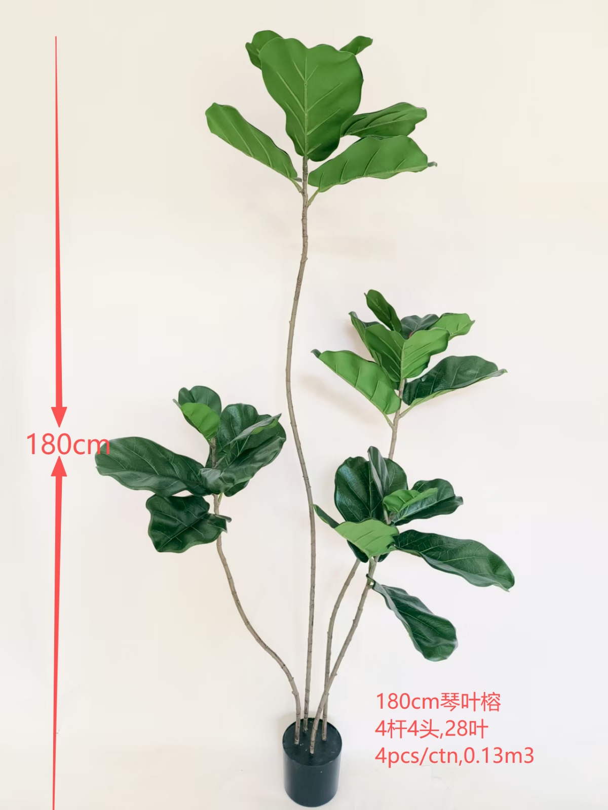 Ficus Lyrata, 4-Rod, 4-Head, 180cm, Green.