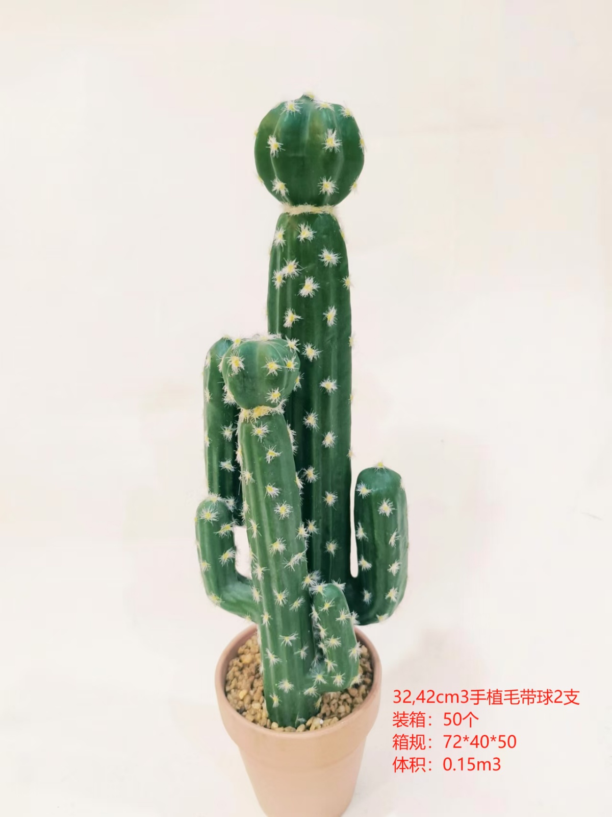 XJXR20241104-85