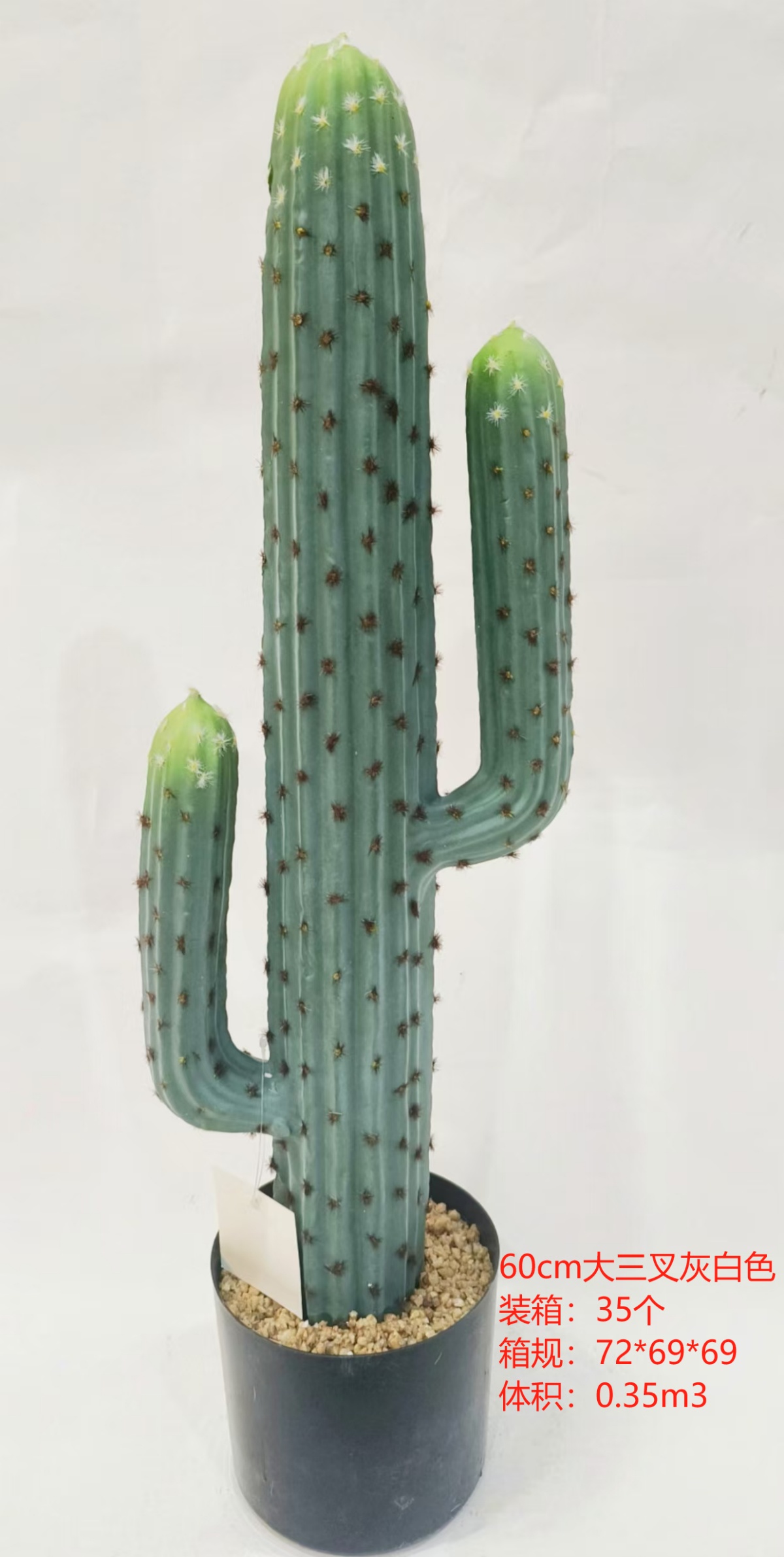 XJXR20241104-76