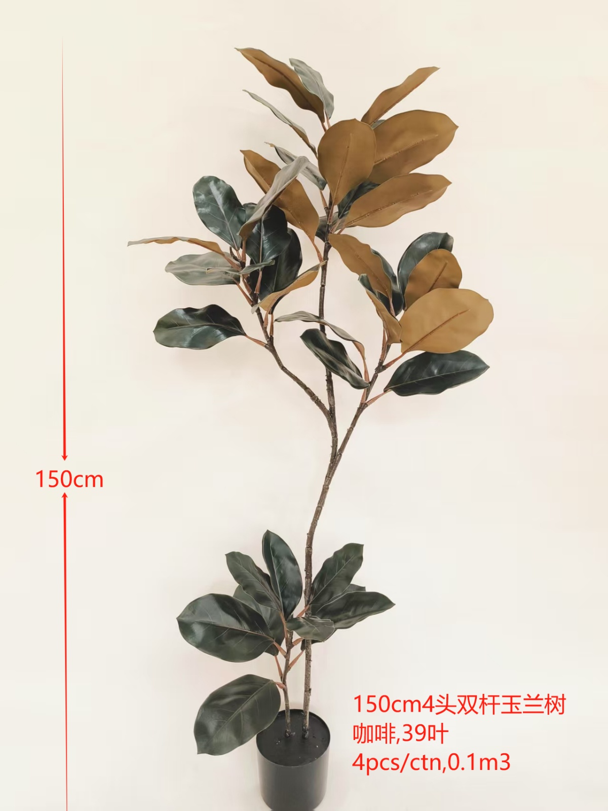 59" 4-Head Magnolia Tree Coffee