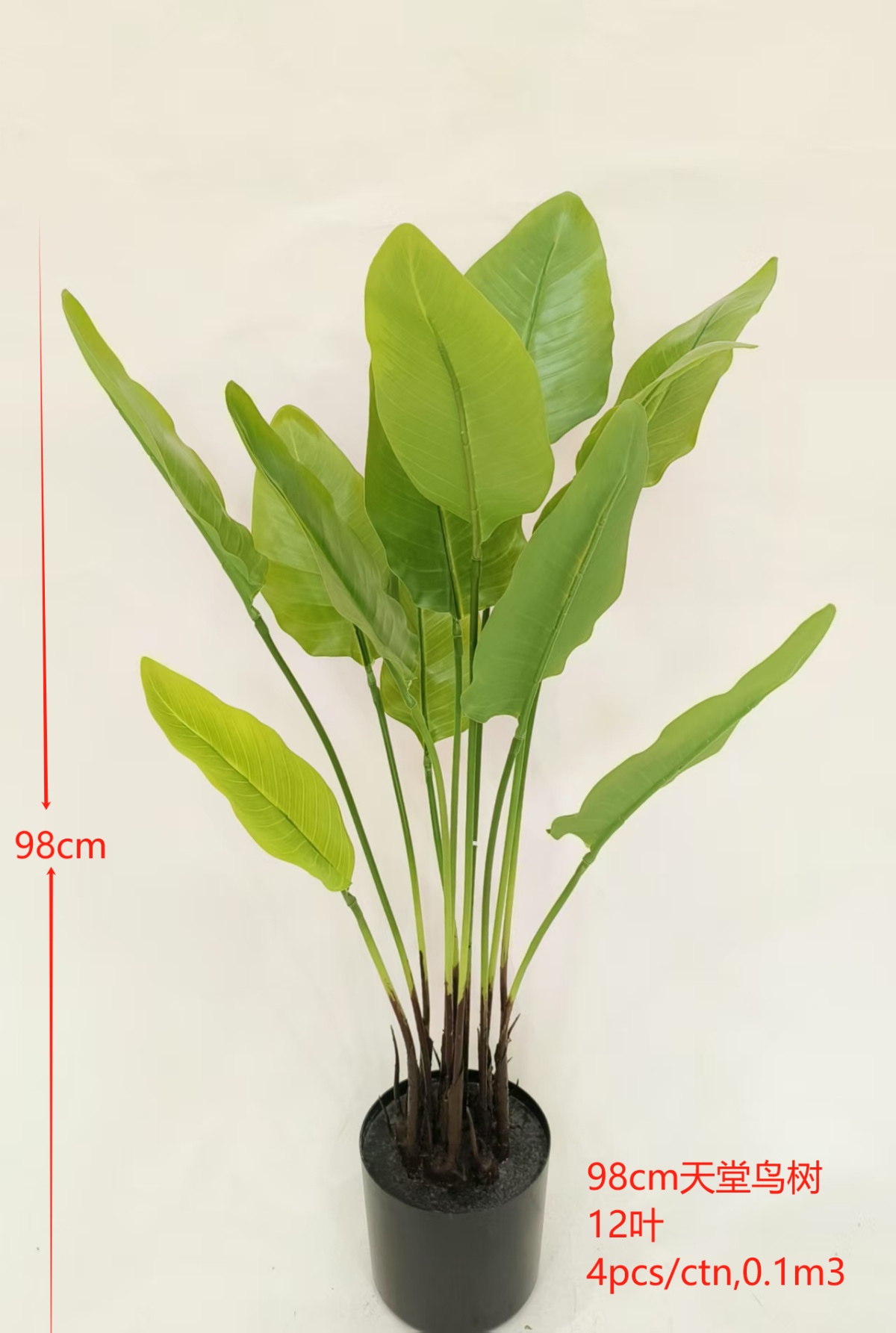 12-Leaf Strelitzia Tree, 38