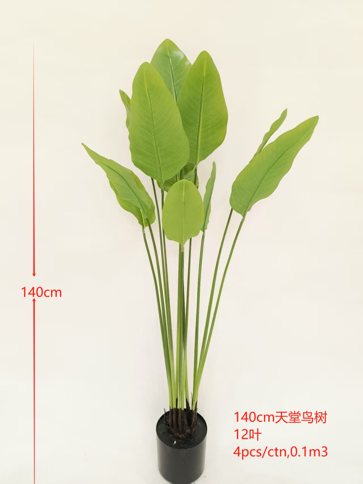 12-Leaf Strelitzia Tree, 55