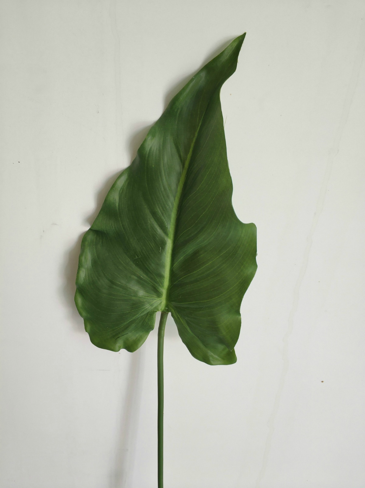 31" Alocasia Leaf Spray Real-Touch