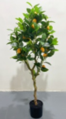 XJXY-NM-120