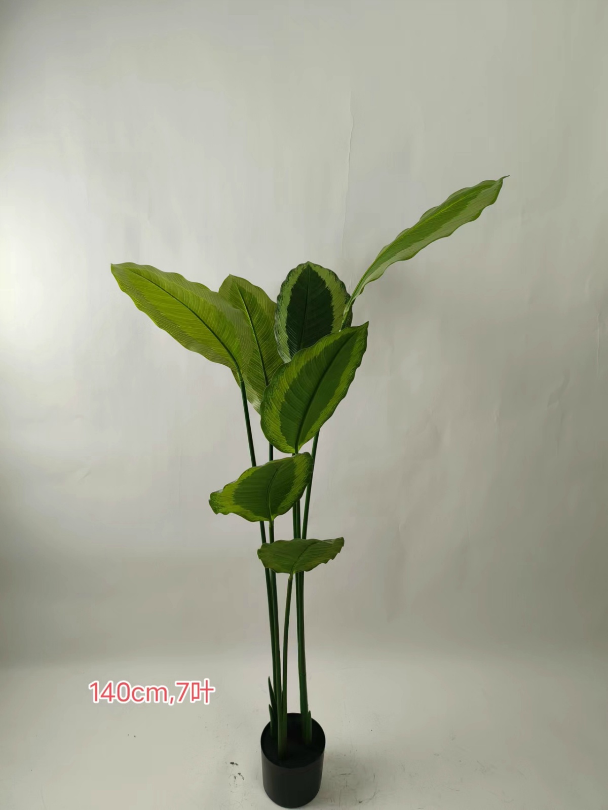 XJHF202306-2