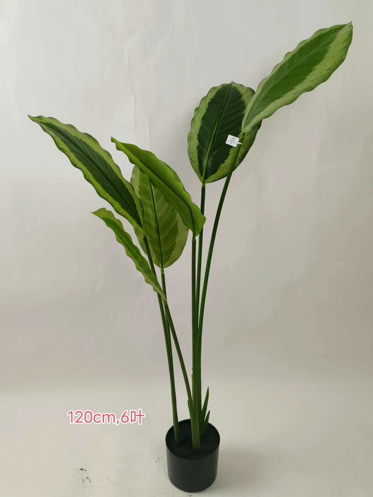 XJHF202306-1