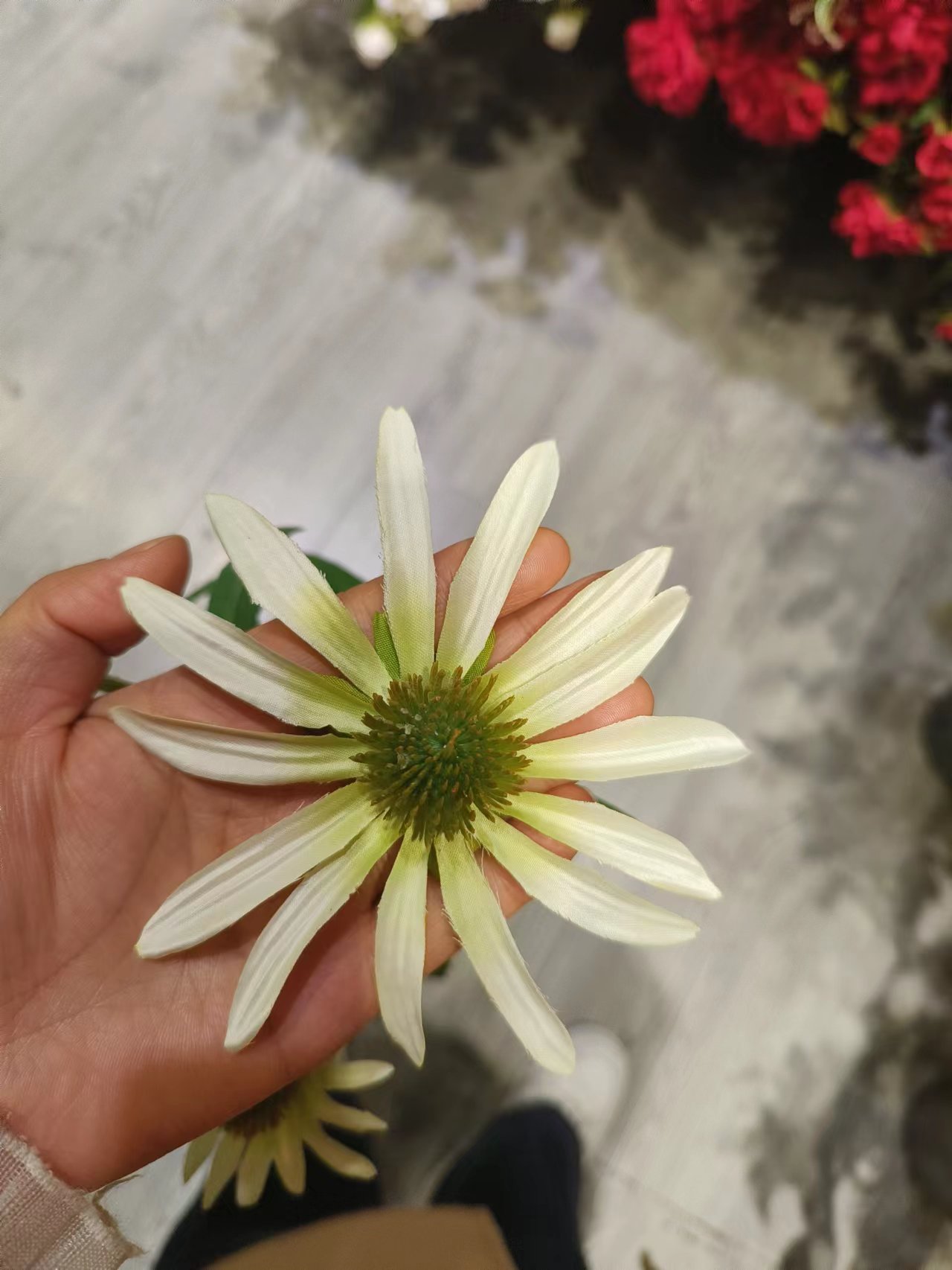Pine Cone Flower White Large Double-Layer