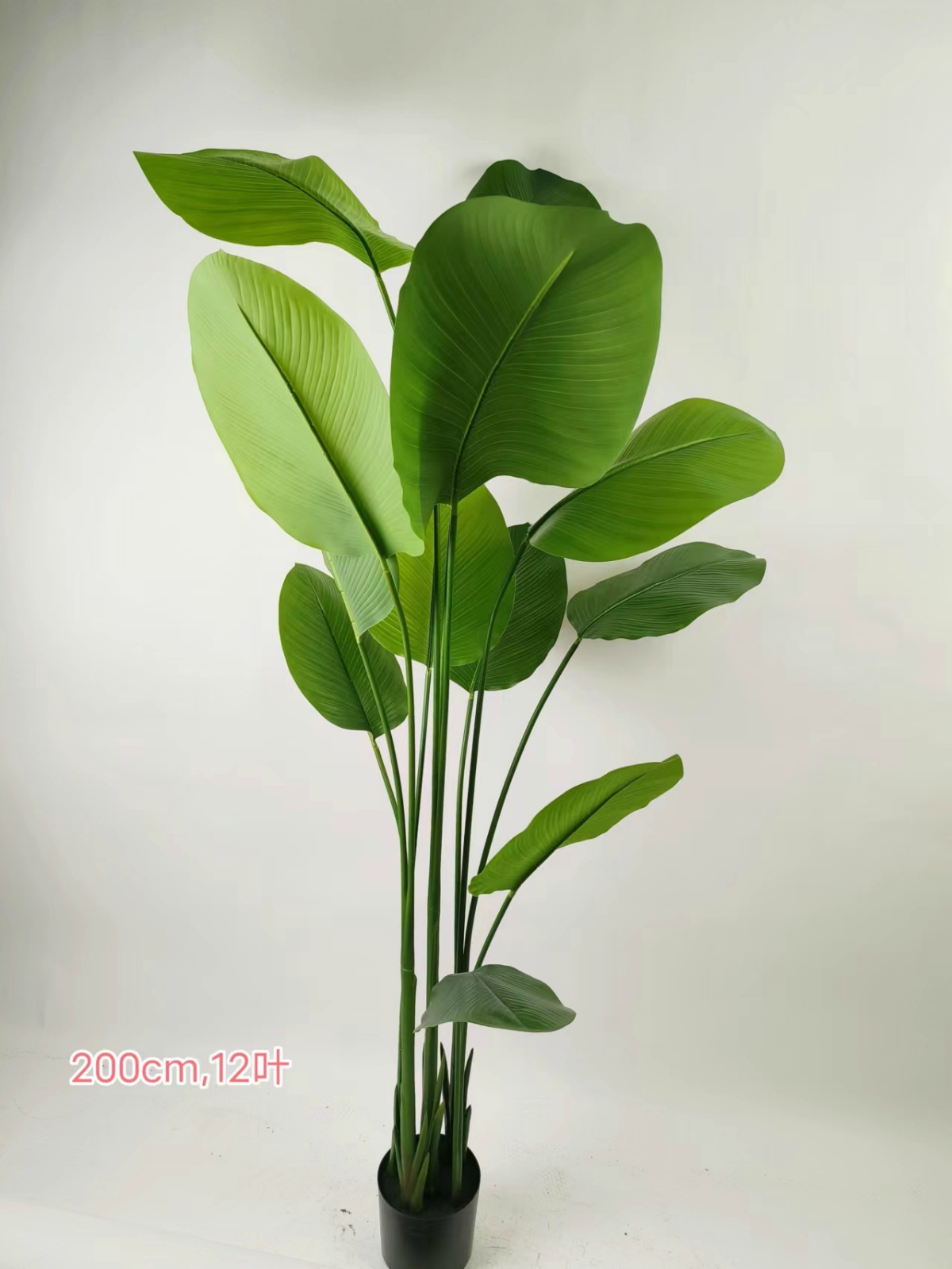 XJHF20231103-5