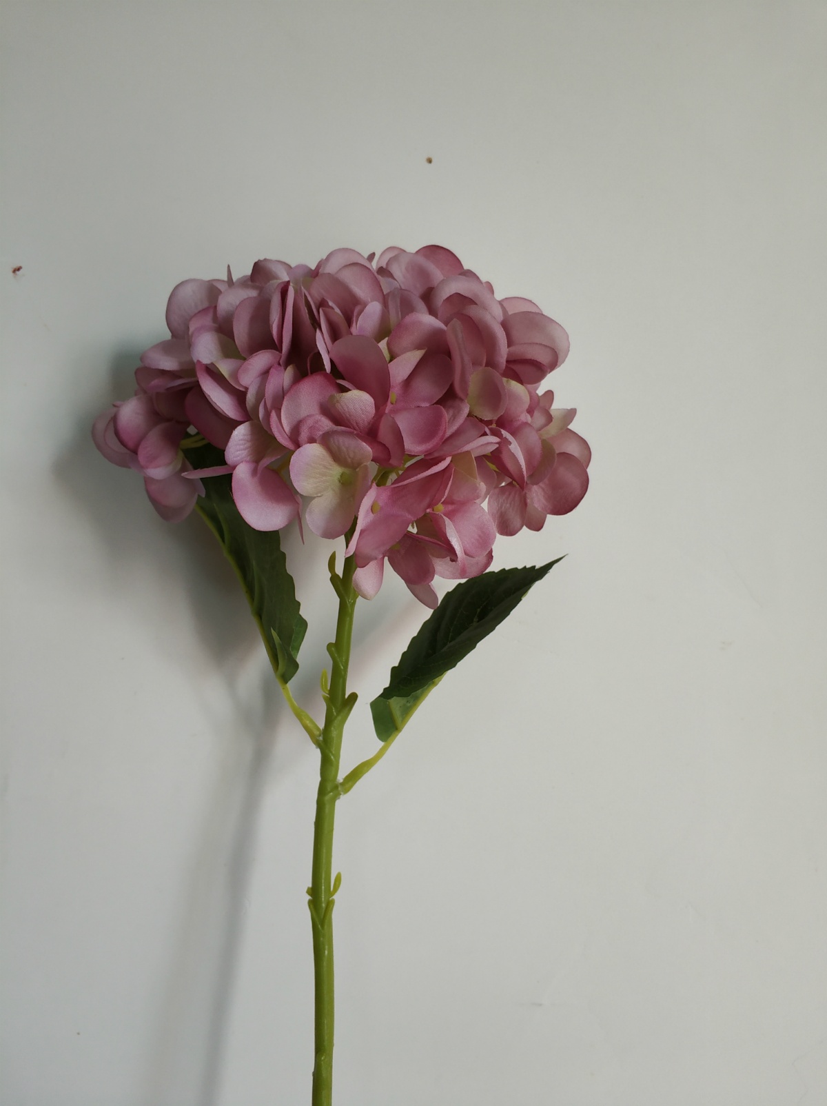 xj07001-26