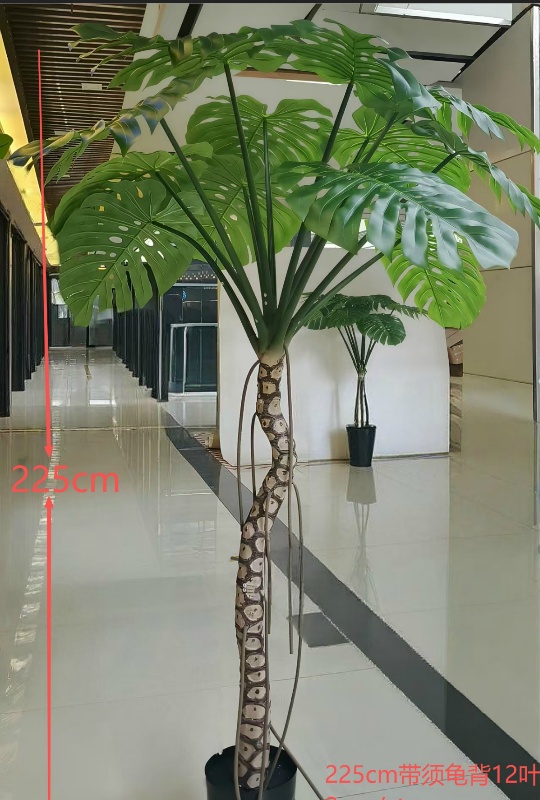 225cm Monstera 12-Leaf Green No Pot