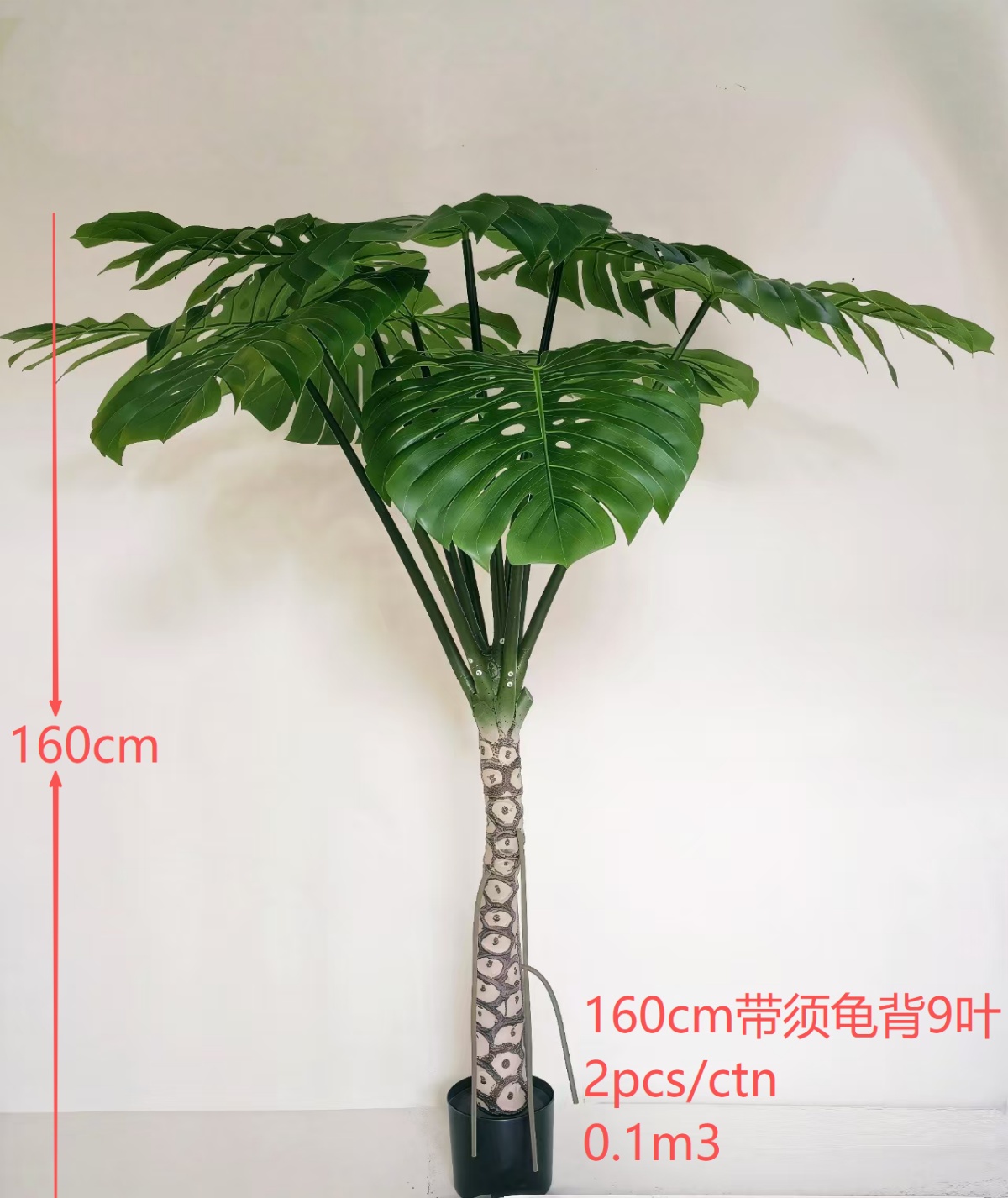 160cm Monstera 9-Leaf with Roots Green