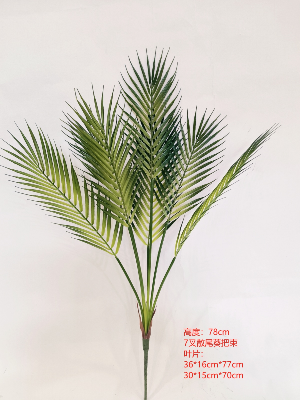 Paket Pohon Areca Palm, tinggi 36 inci, 7 cabang, warna hijau.