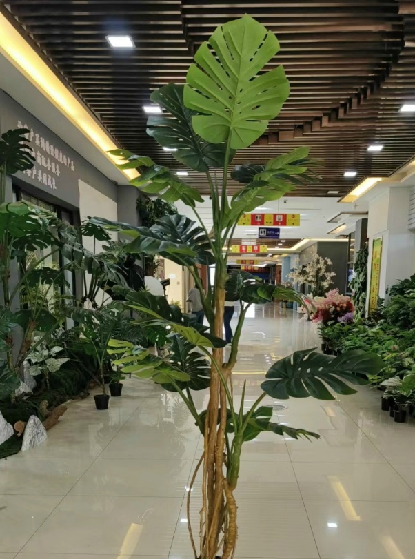 XJWBX22084