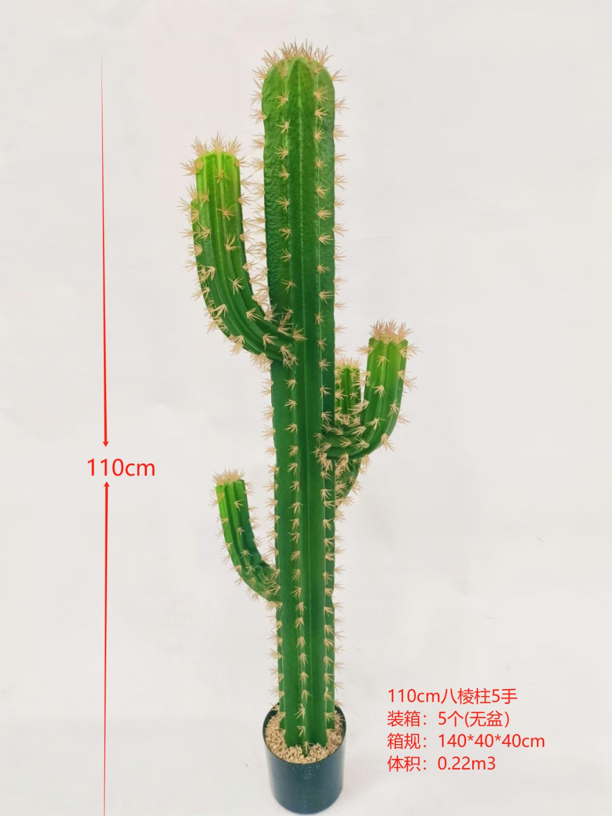 XJXR20241104-44