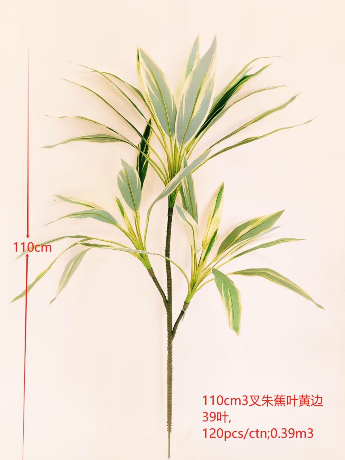 XJQH20250313-1