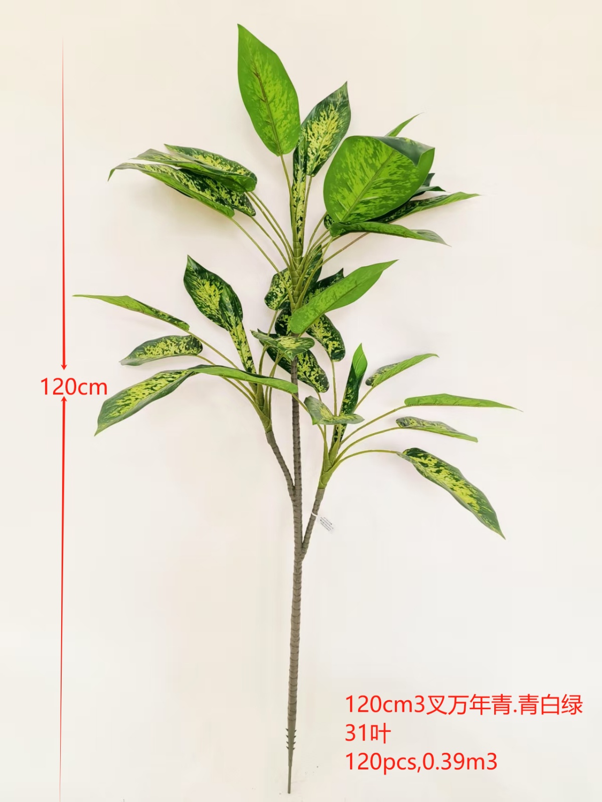 XJQH20250318-3