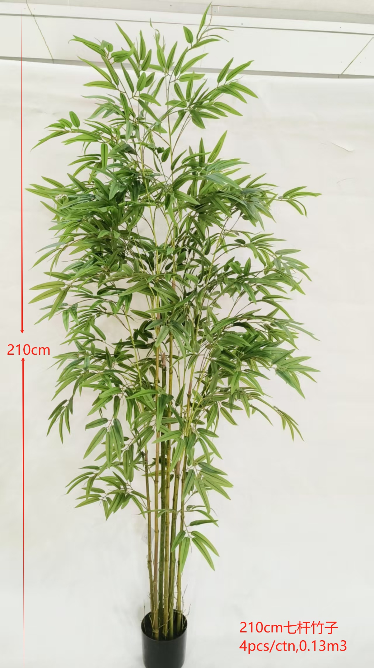 XJWBX20250430-3