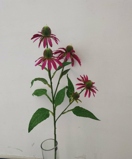 5" Pine Cone Flower, Pink