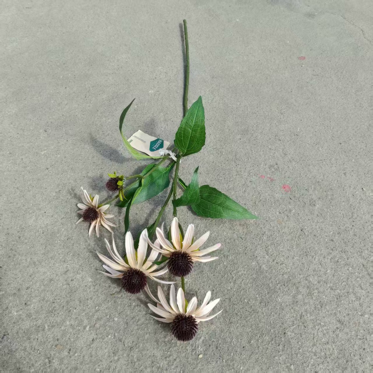 5" Pine Cone Flower, Champagne Brown Fruit