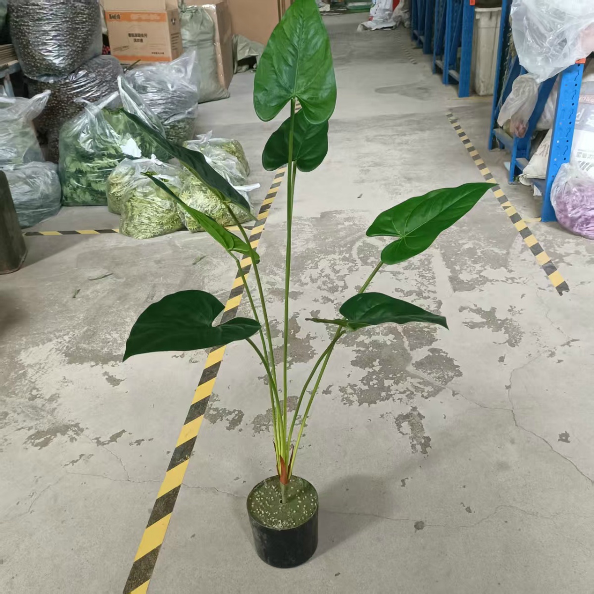 Bundel Pohon Kaktus Peri 7 Kepala 90 cm Real-Touch