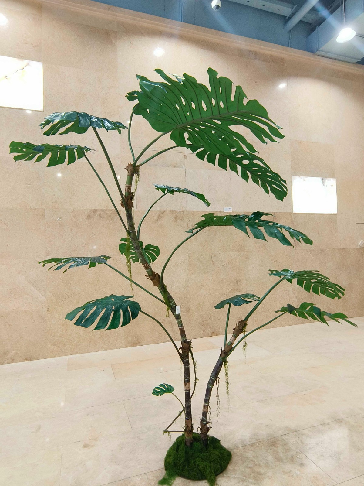 122" Monstera 3.1m