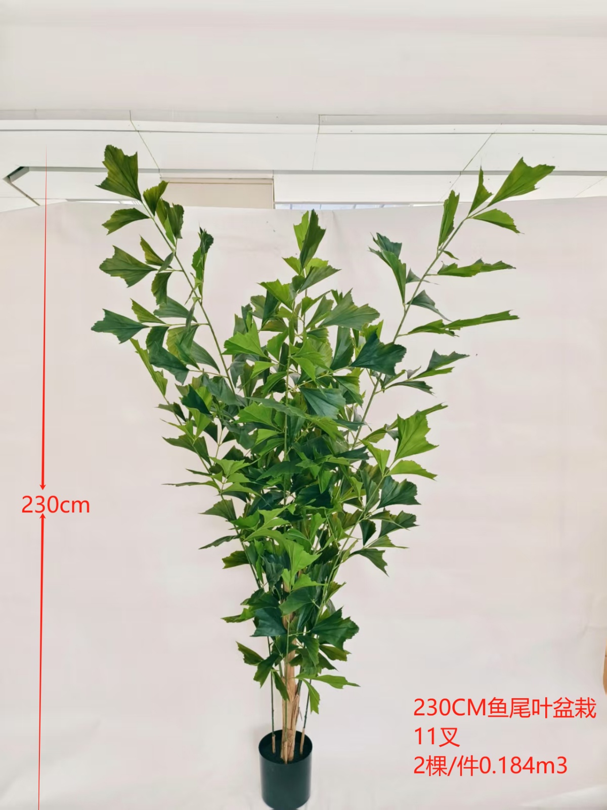 XJYS0586-230