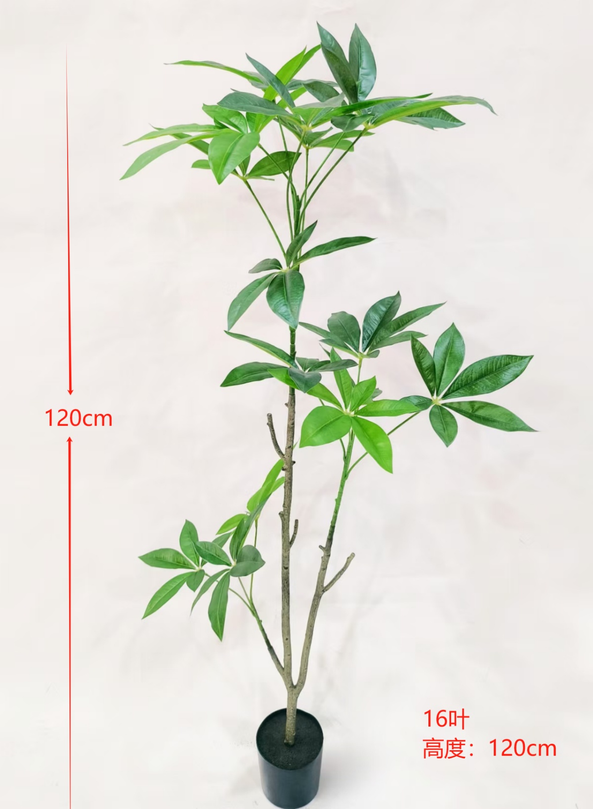 XJHF040915-120