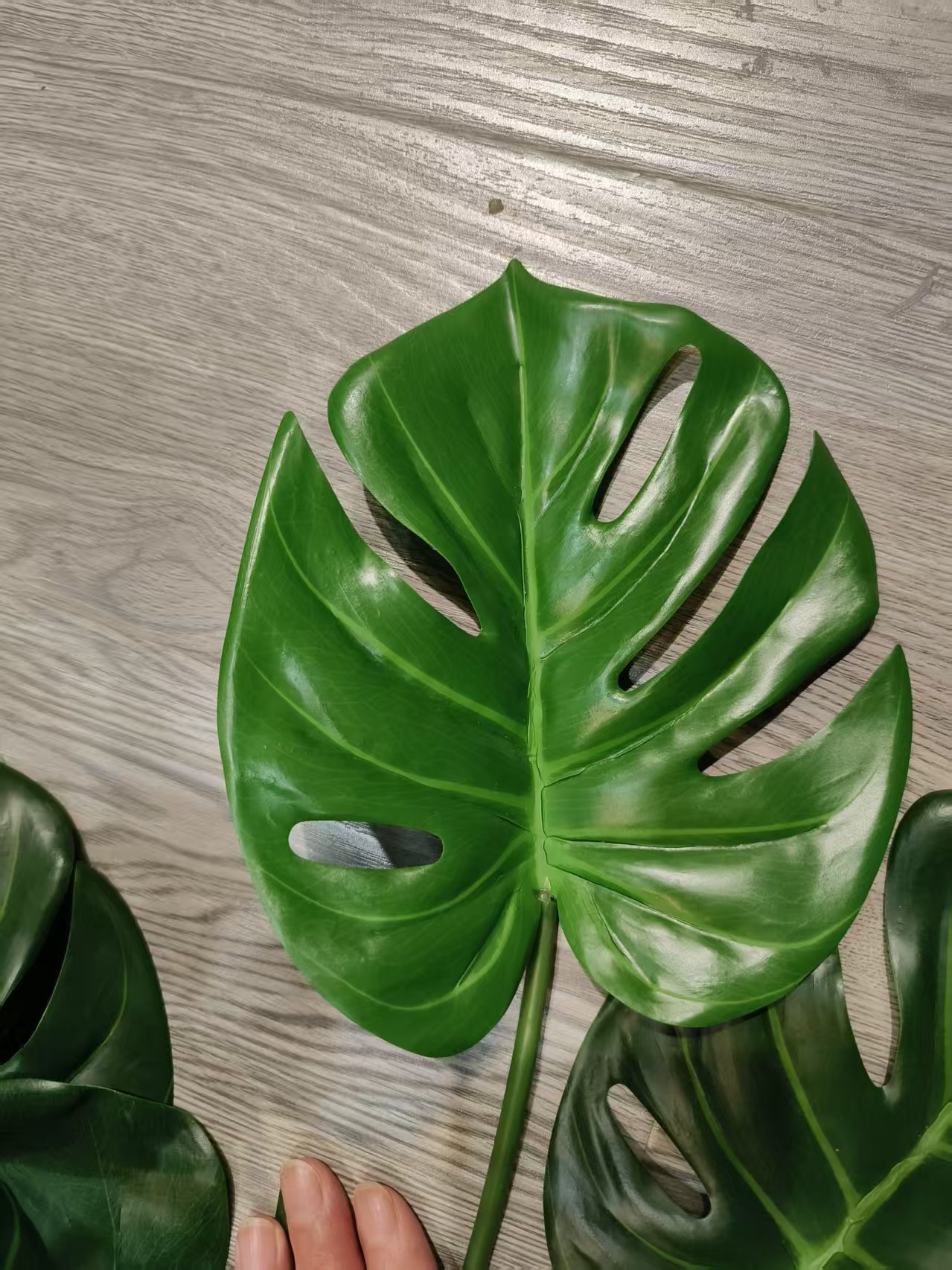 22" Monstera Leaf Spray, Real-Touch, Light Green