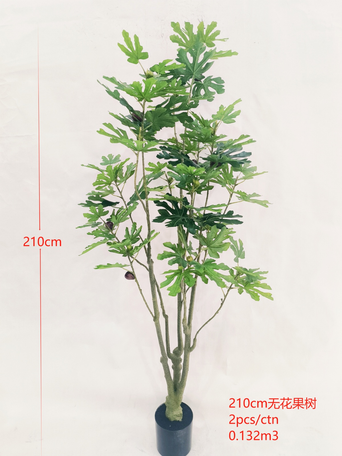 XJYF241024-210