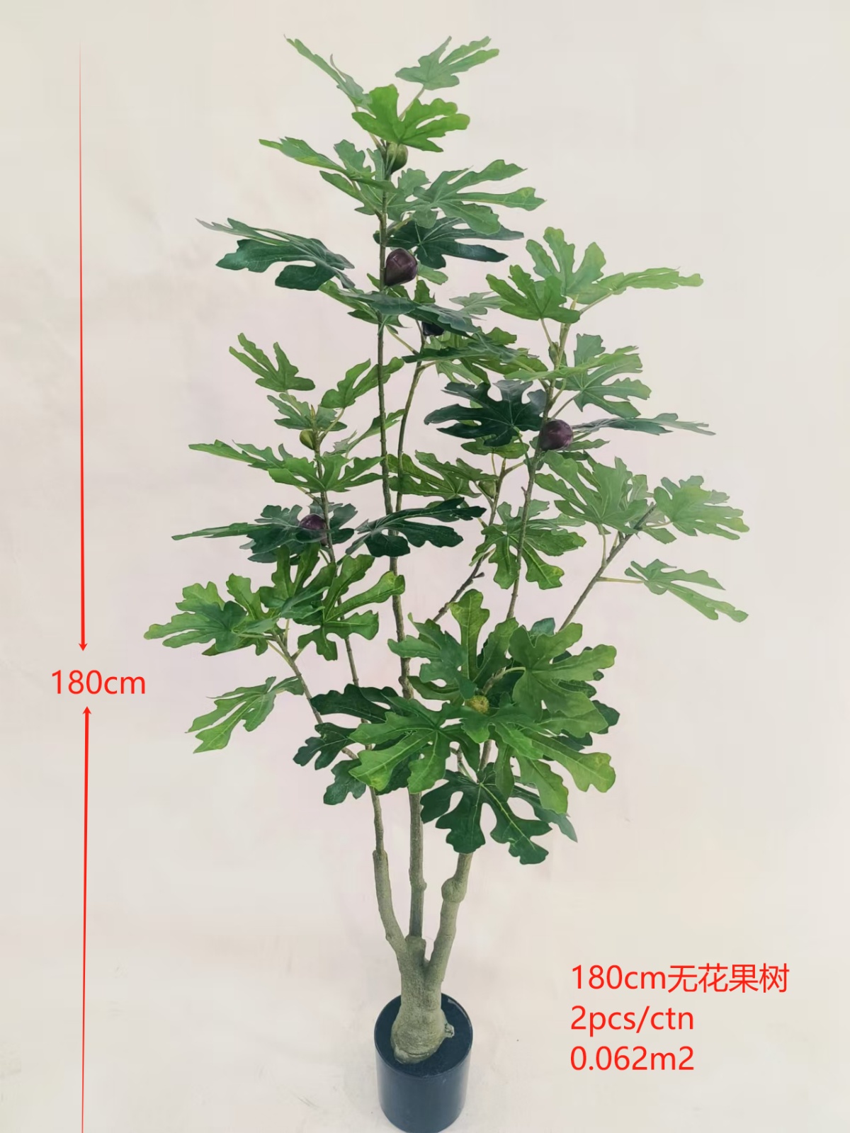 XJYF241024-180