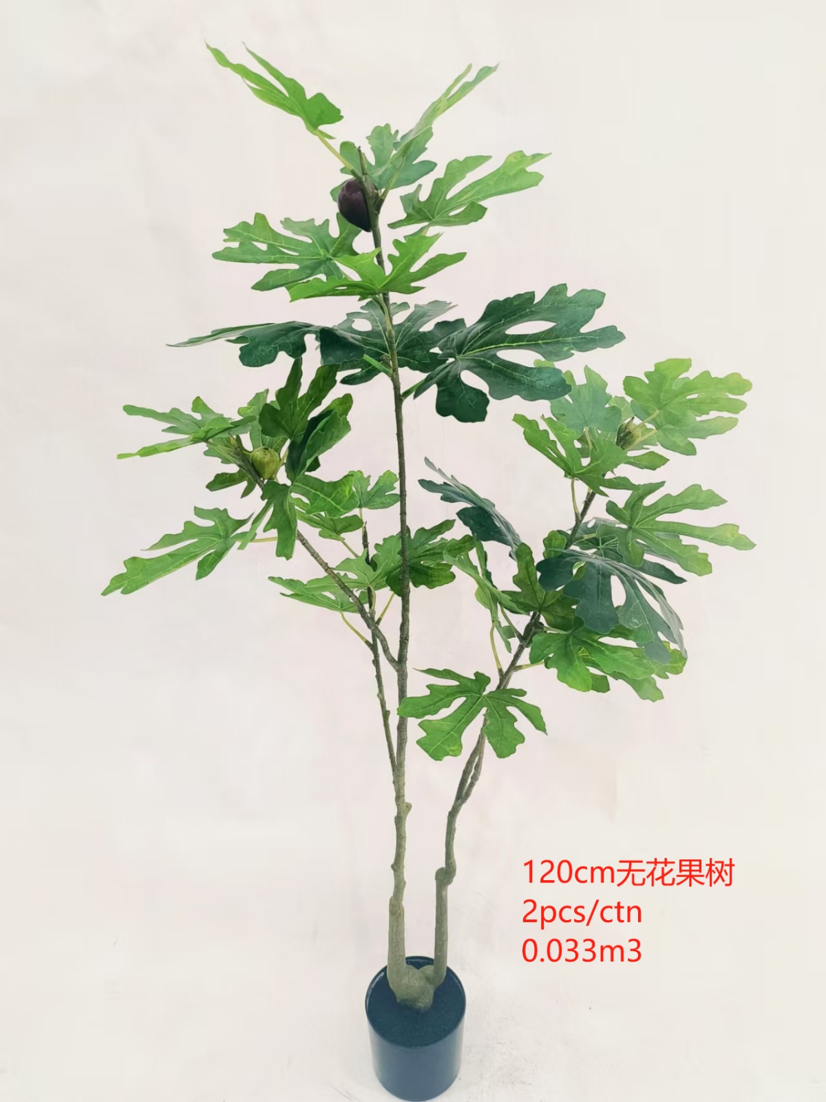 XJYF241024-120