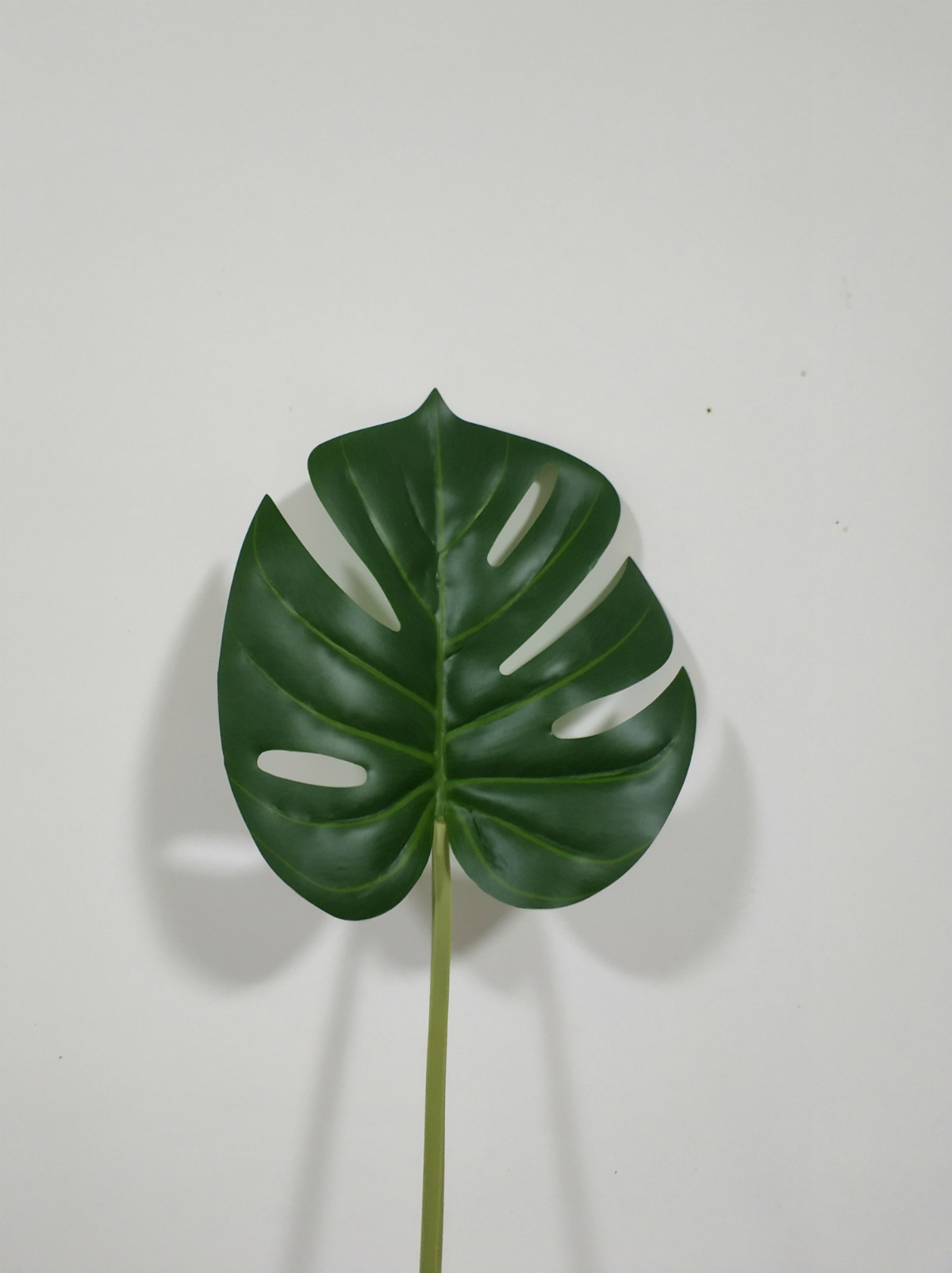 Monstera Real-Touch Leaf, 22" 17*19