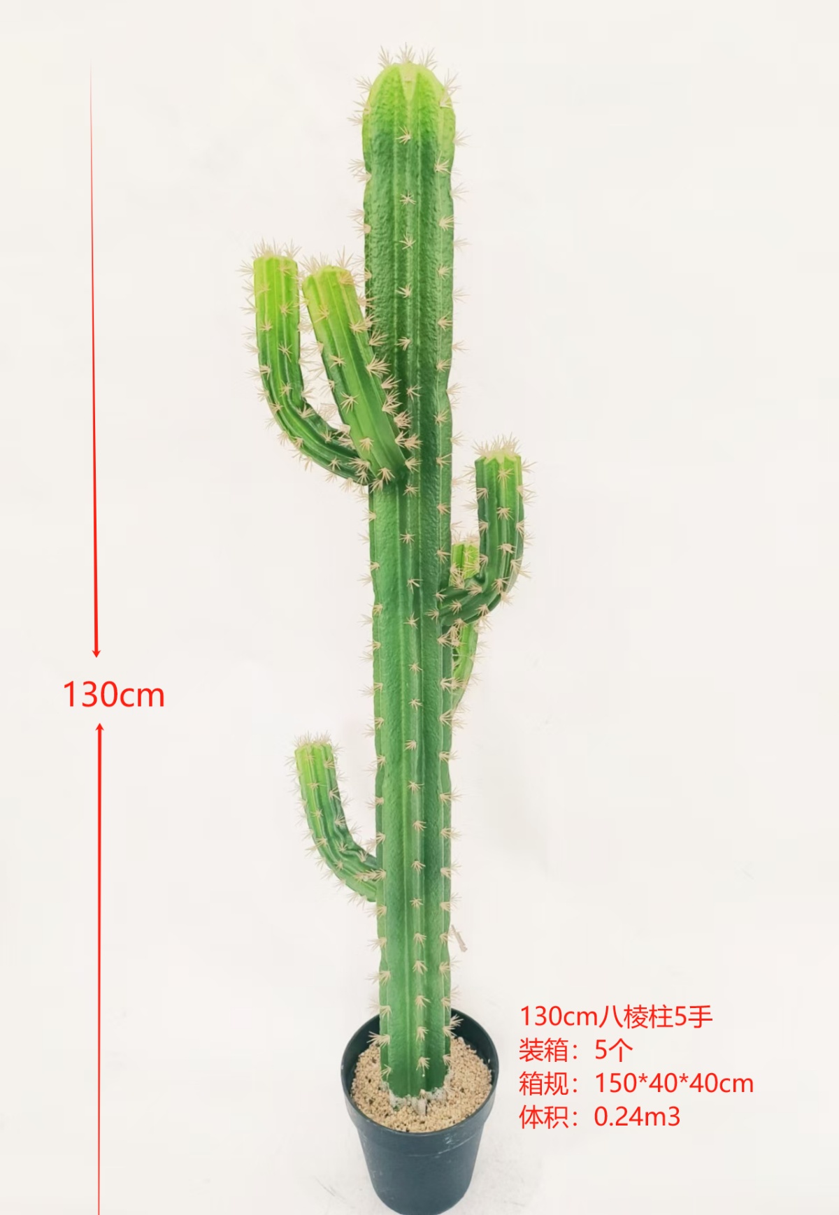 XJXR20241104-46