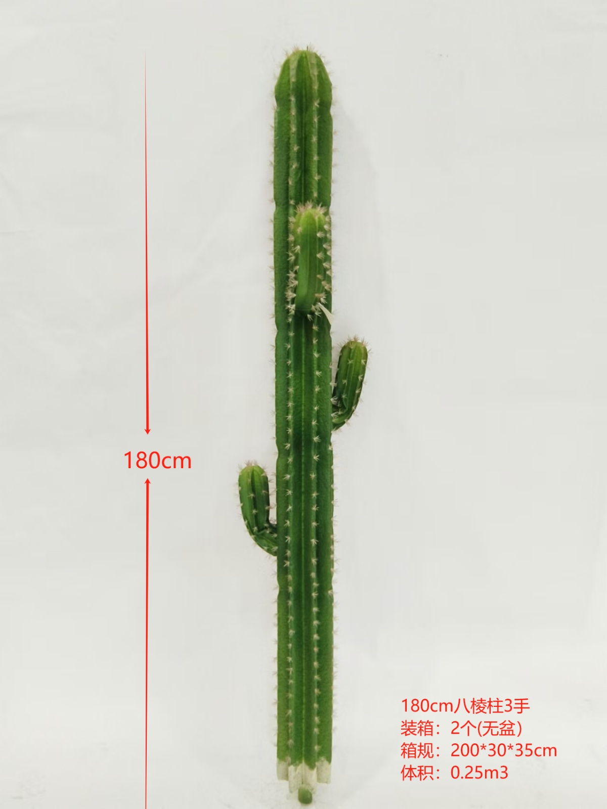 XJXR20241104-74